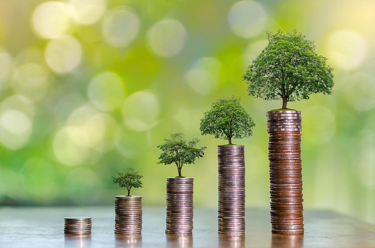 MORE OPEN ECONOMIES AND IMPROVED HEALTH, EDUCATION, AND LIVING